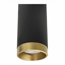 Westgate MFG C2 CMC4-TRM-AG - 4" CEILING MOUNT CYLINDER TRIM, ANODIZED GOLD