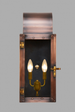 The Coppersmith WT21E - Whitney 21 Electric