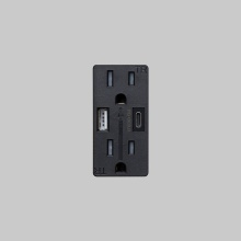 Buster and Punch NSM-023242 - OUTLET MODULE / DUPLEX & 2 USB-A + C / BLACK