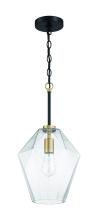 Craftmade 56992-FBSB - 1 Light Pendant