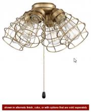 Craftmade LK405101-FB-LED - 4 Light with Cage Shade w/4x4w LED