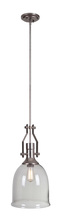 Craftmade P565TS1 - 1 Light Pendant w/Clear Glass