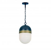 Crystorama CAP-8507-MK-TG - Brian Patrick Flynn Capsule 8'' Matte Black + Textured Gold Outdoor Pendant