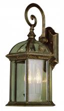 Trans Globe 44181 BK - 3LT WALL-MED-OUTD-BEVELED GLAS