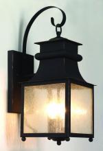 Trans Globe 45631 WB - 2LT WALL-SQUARE-SEEDED-GLASS