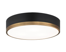 Matteo Lighting M14303BKAG - Trydor Ceiling Mount