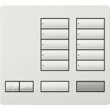 Lutron Electronics LFK-T10RL-SW - LARGE 10 BUTTON FACEPLATE KIT SW