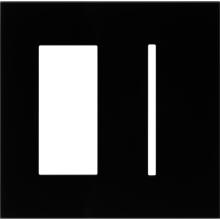 Lutron Electronics LWT-TG-CBL - NW AR WP 1 ACC PLDM, 1 GFK T OPNG IN CBL