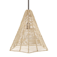 Hunter 48090 - Hunter Comet Matte Bronze 1 Light Large Pendant Ceiling Light Fixture