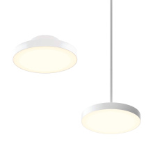 Dals TLPF12-CC-UNV-WH - 12in trimless 2in1 with stems, 5CCT, 120-347v, 0-10v/Triac - White