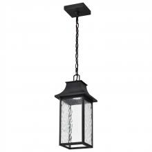 Nuvo 62/5996 - Austen Collection; 1 Light Outdoor Hanging Fixture; LED; SMART - Starfish RGBTW; CCT Selectable